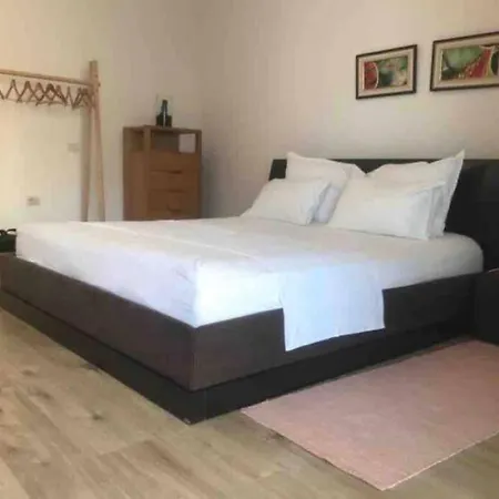 Flowers Studio - Pazari I Ri Tirana
