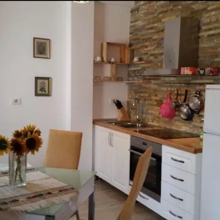 Flowers Studio - Pazari I Ri