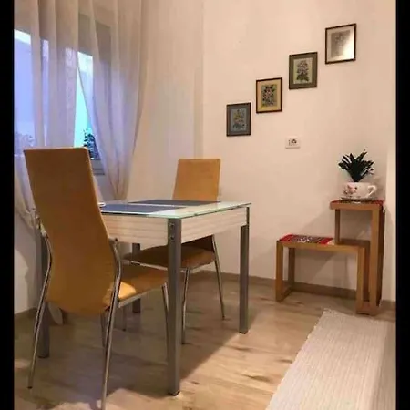 Flowers Studio - Pazari I Ri *